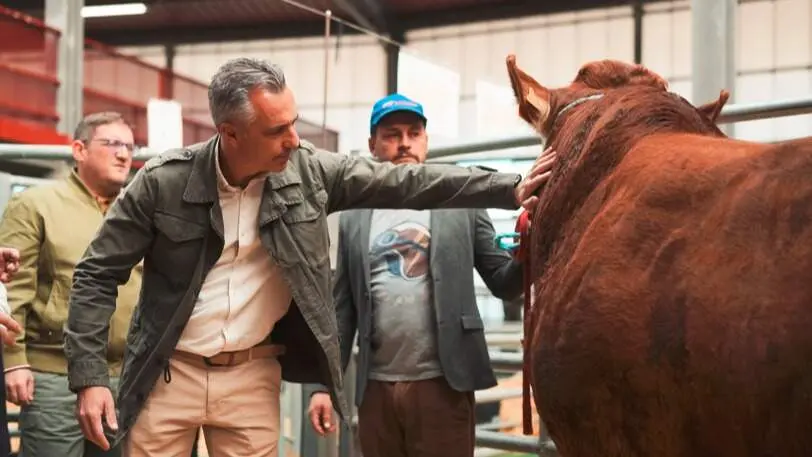 Carlos Novillo inaugura la 87ª Subasta Nacional de Ganado Selecto - Foto Comunidad de Madrid