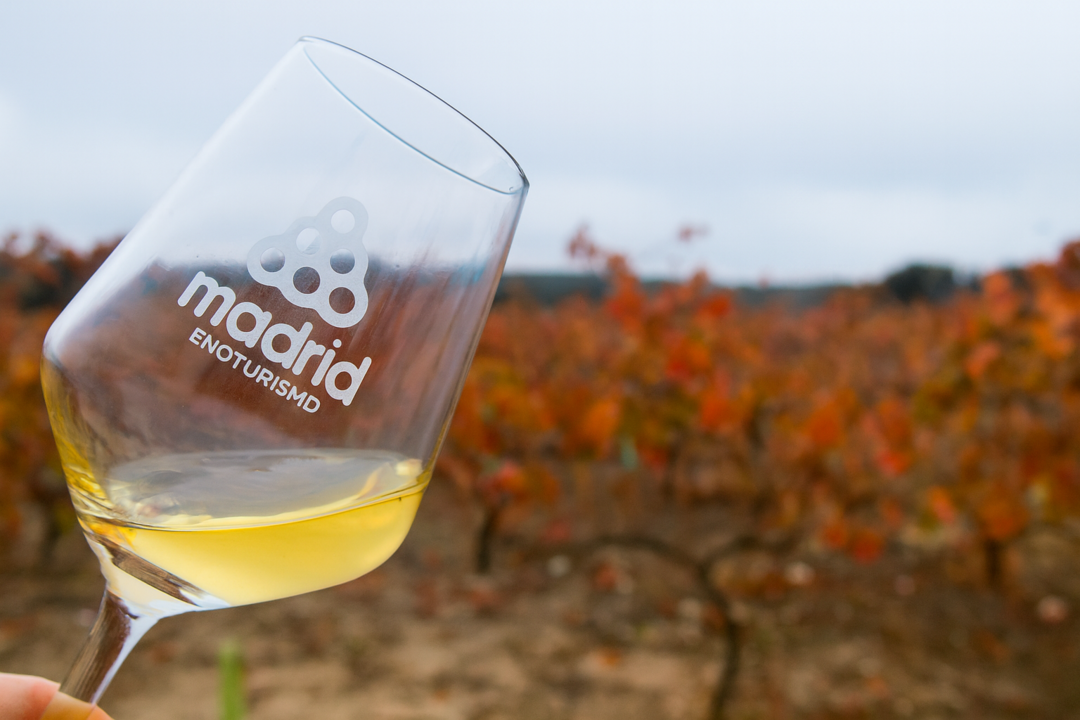 Vinos de Madrid