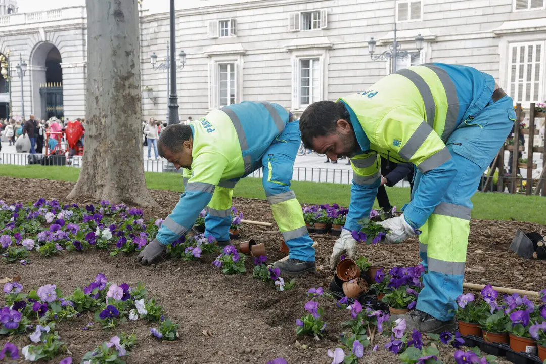 Operarios municipales durante la plantación especies otoño-invierno