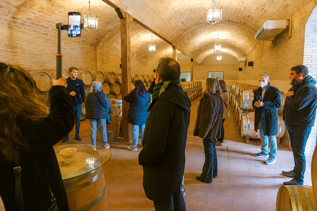 Parque de Barricas Laguna