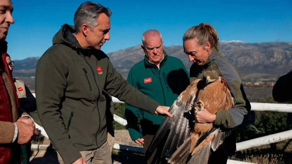 El consejero Novillo, en el Centro de Recuperación Félix Rodríguez de la Fuente - Foto Comunidad de Madrid