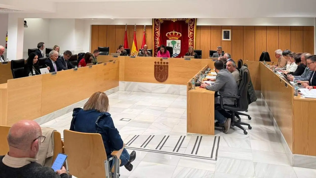 Pleno municipal 20 noviembre