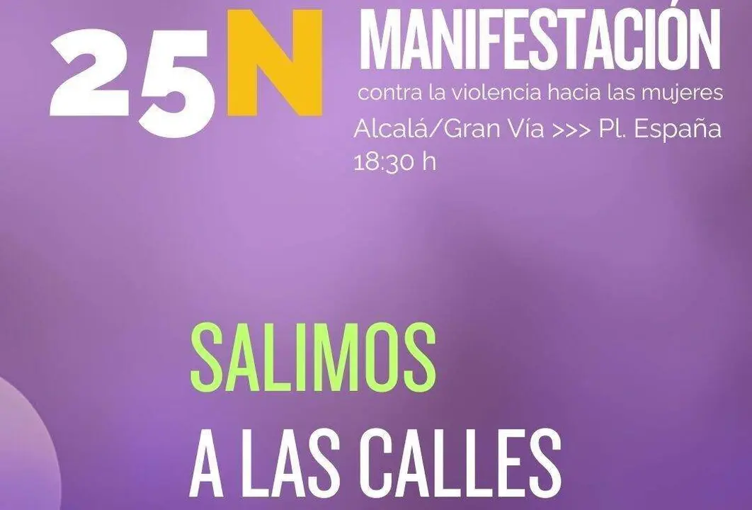 Detalle de uno de los cartes de la manifestacón del Movimiento Feminista de Madrid y el Foro 25N - Foto del Movimiento Feminista de Madrid
