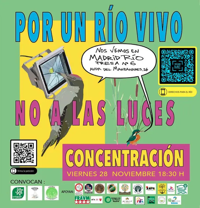 WhatsApp Image 2025-11-26 at 10.40.13