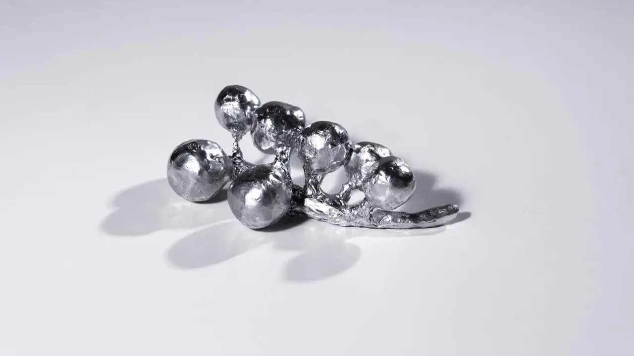 Detalle de Moonskin de Julieta Hsiung