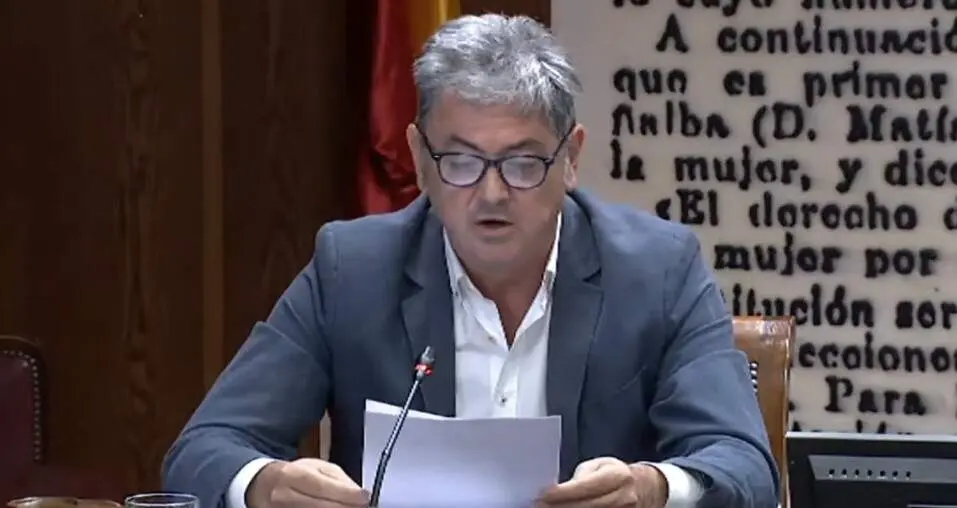 Antxon Alonso durante su comparecencia en el Senado