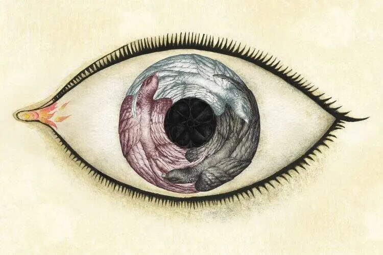 La exposici&oacute;n Wunderkammer, de Ana Juan, estrena la agenda de 2026 - Foto Ayuntamiento de Madrid