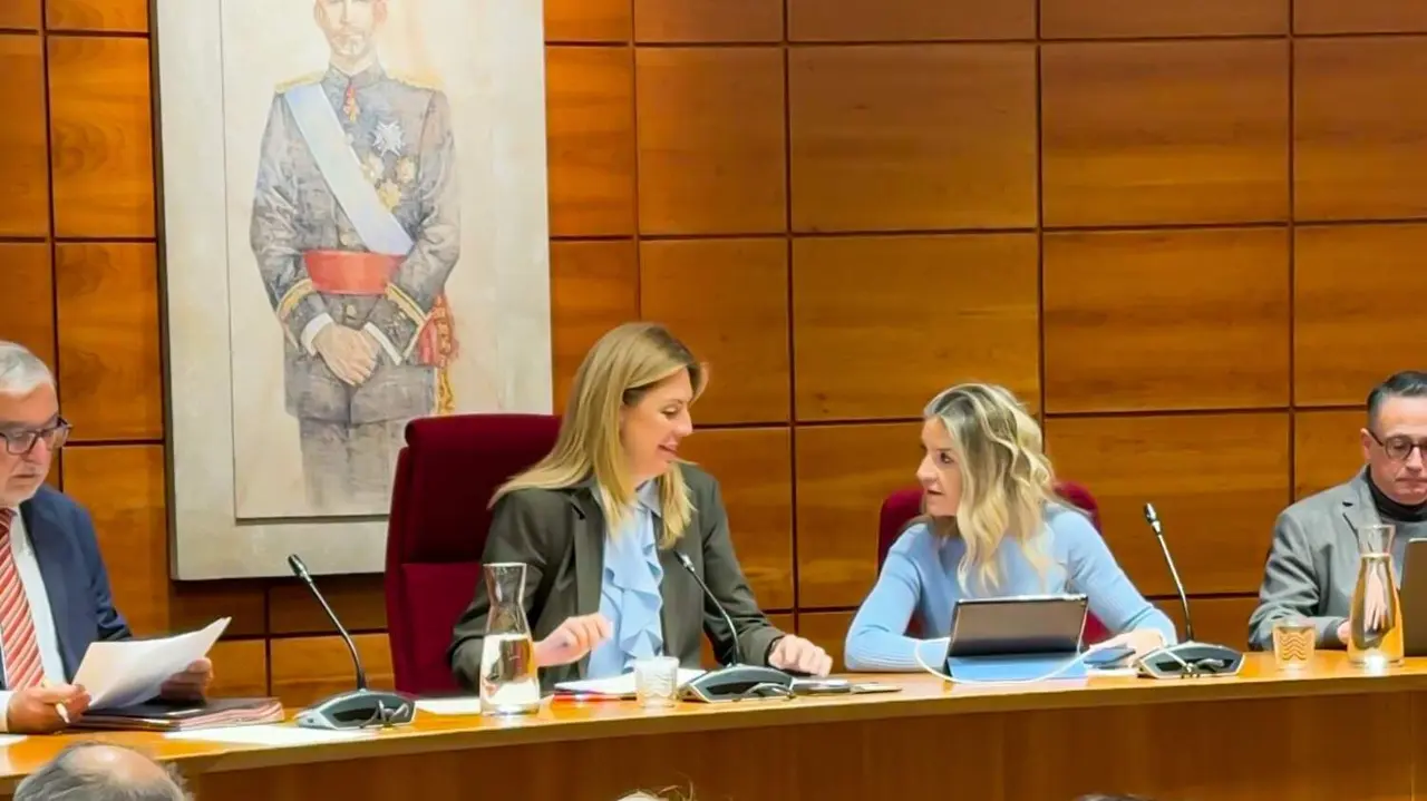 Presupuestos Pozuelo 2026