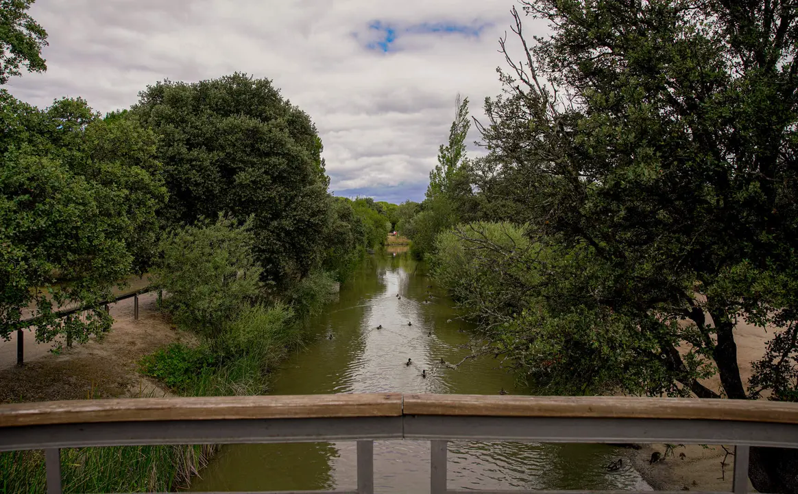 ARCO VERDE LAS ROZAS
