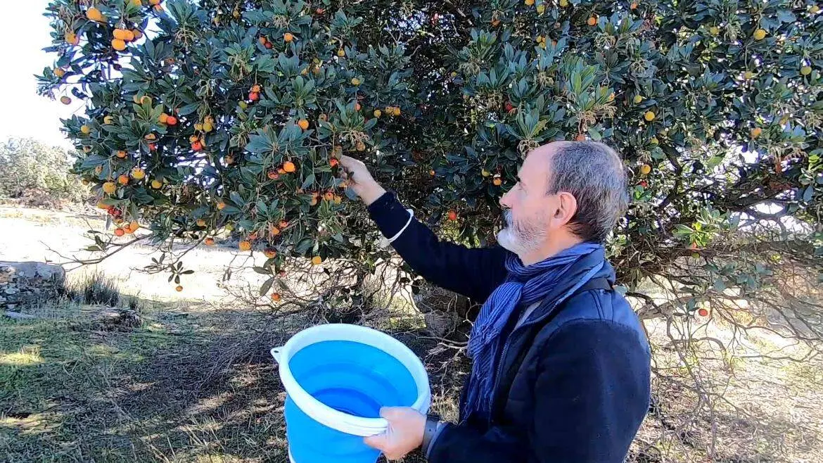 La Comunidad forma a 1.300 profesionales del sector primario con cursos gratuitos del IMIDRA en 2025