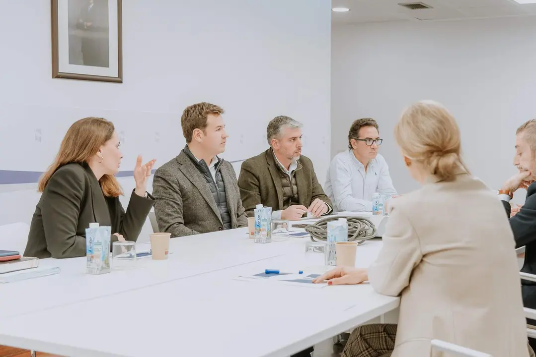 Iluminaci&oacute;n LED Las Rozas - Foto del Ayuntamiento de Las Rozas