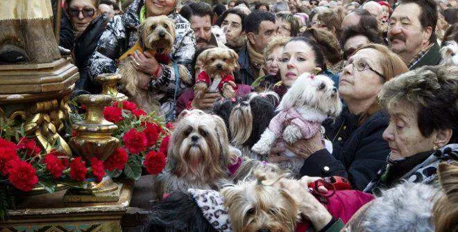 Procesi&oacute;n de San Ant&oacute;n | Foto de Ayuntamiento de Madrid
