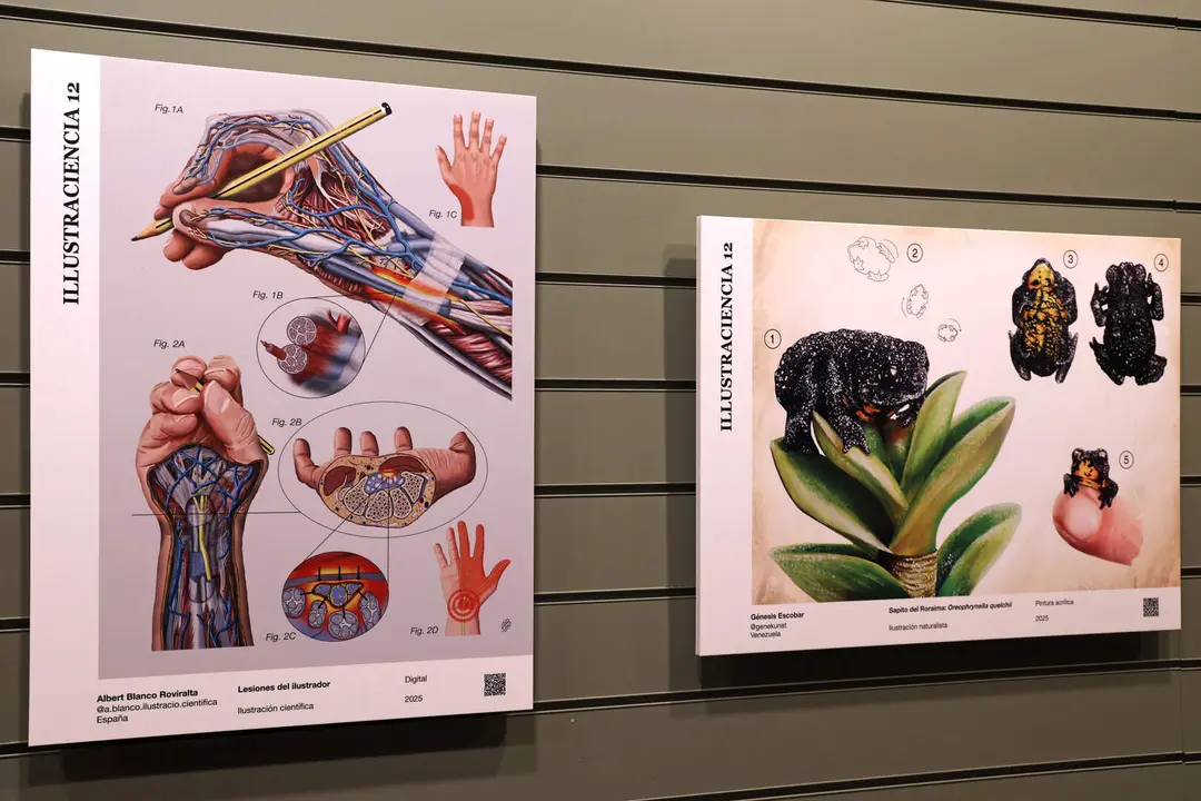 Exposici&oacute;n Illustraciencia 12 - Foto del Museo Nacional de Ciencias Naturales