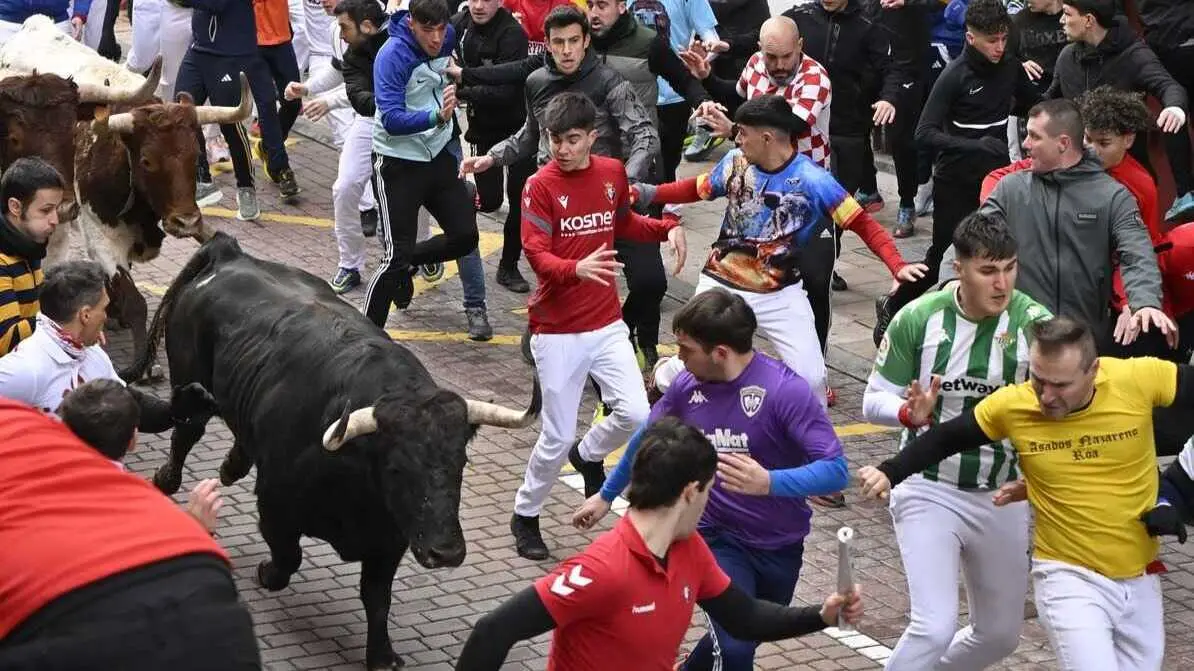 Segundo Encierro Blanco de San Sebasti&aacute;n de los Reyes