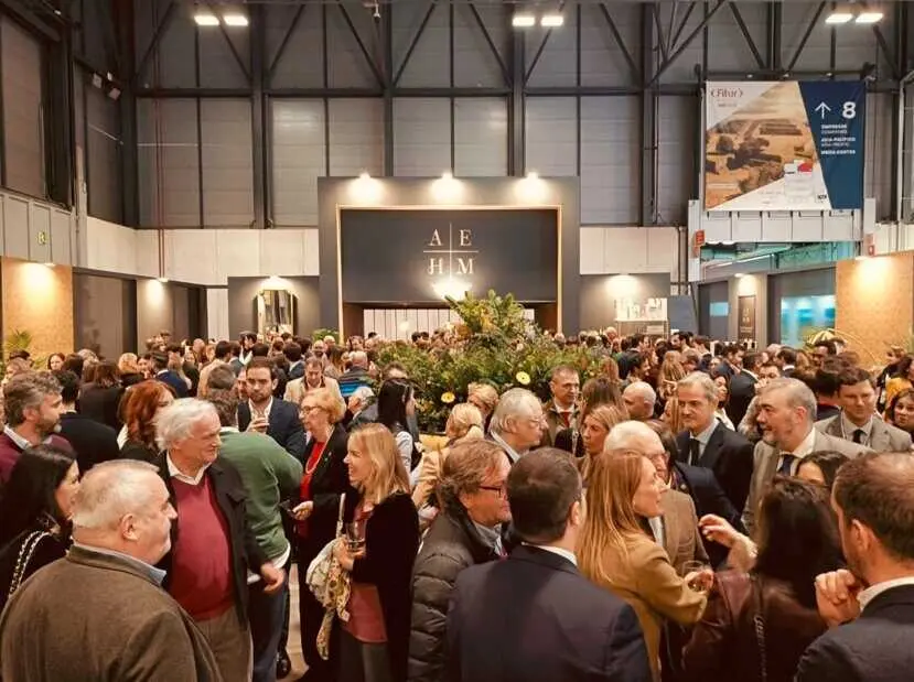 AEHM balance Fitur 2026 - Foto AEHM