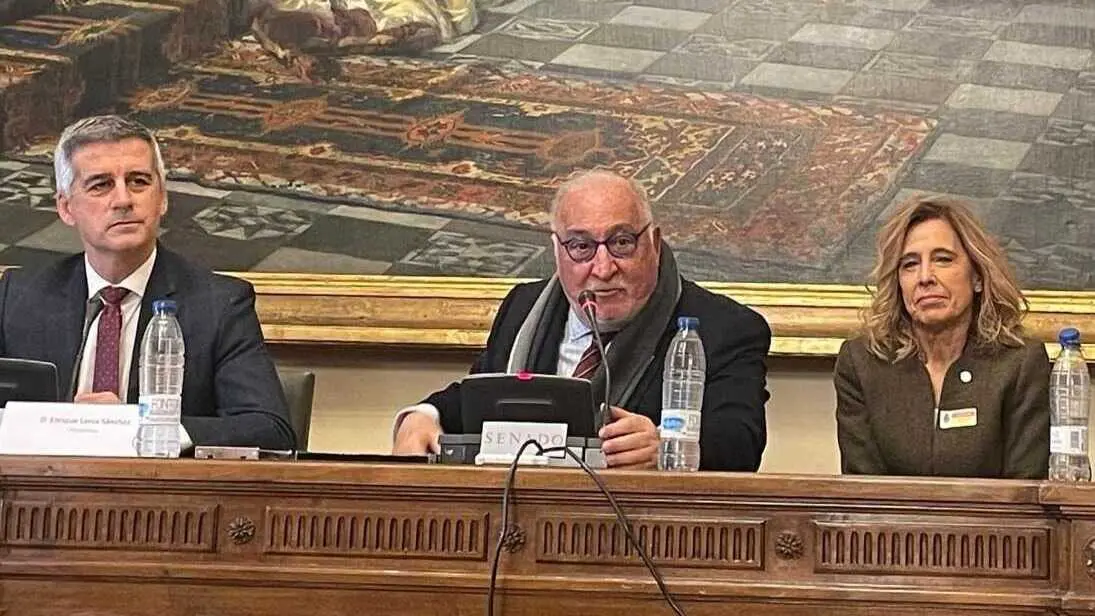 Pere Navarro (centro), hoy en el Senado | Foto de CNAE