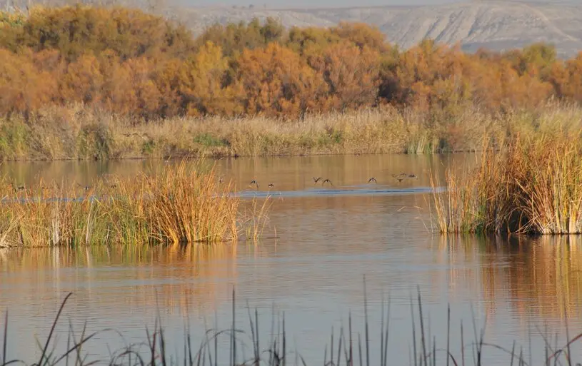 Laguna Soto de las Cuevas - Foto Comunidad de Madrid
