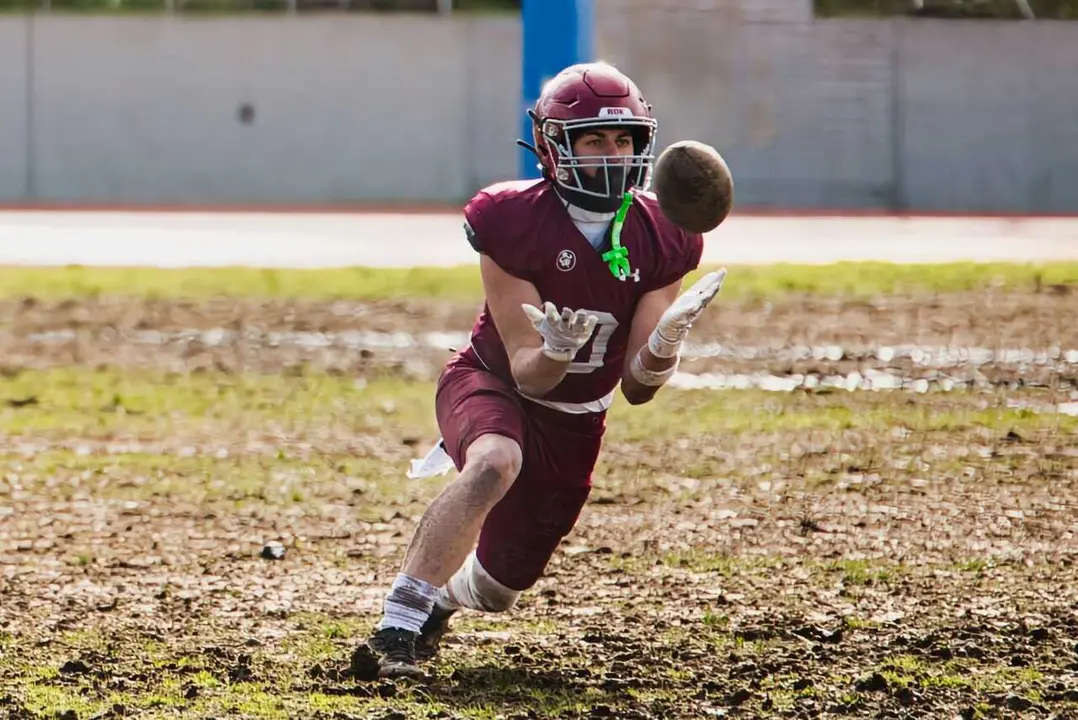 Web oficial de Royal Oaks Knights - Foto: Roberto Benito