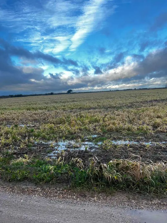 Inundaciones en febrero 2026 - Foto de Agroseguro