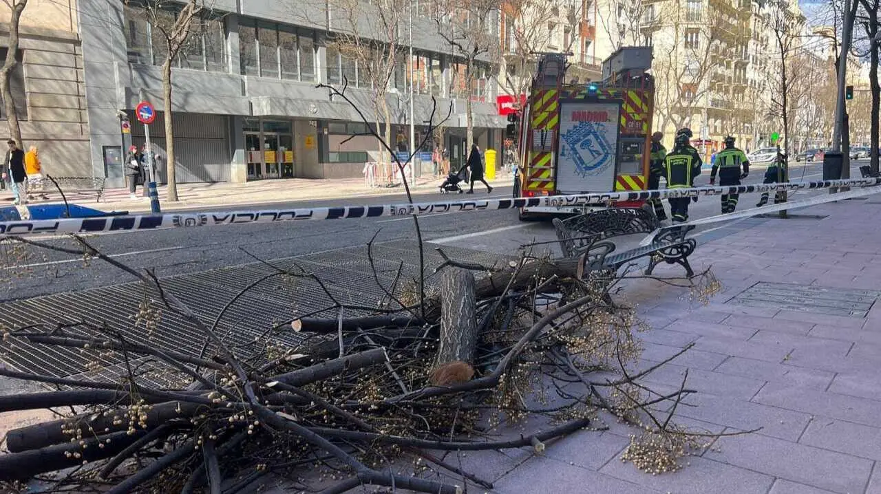 Emergencias Madrid