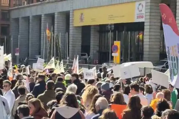 Manifestaci&oacute;n 