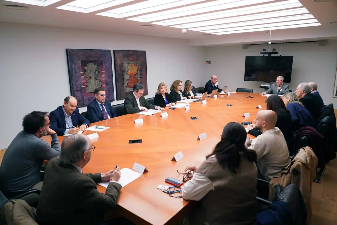 Hidalgo, presidiendo la constituci&oacute;n del consejo, en la ma&ntilde;ana de este viernes