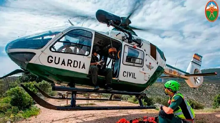 GREIM Imagen de Archivo