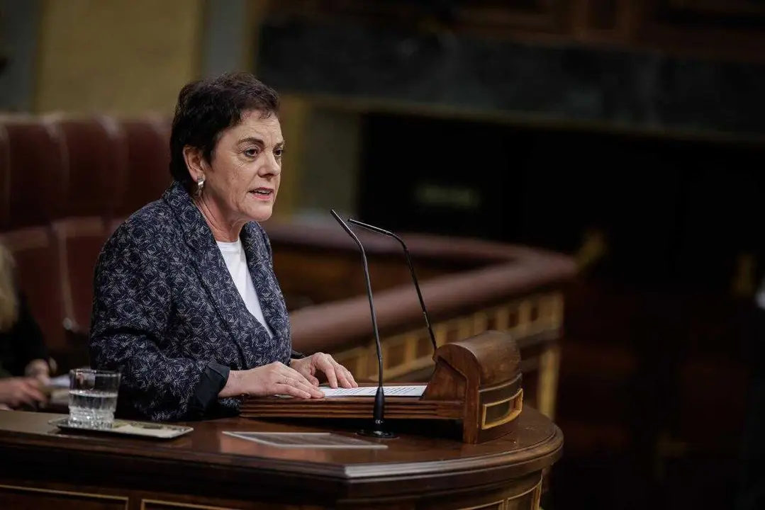 Mertxe Aizpurua en una intervenci&oacute;n en el Congreso | Foto del Congreso de los Diputados