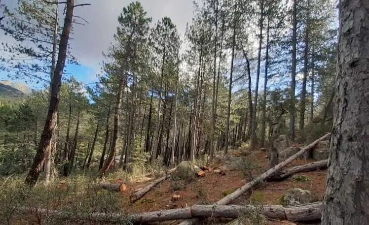 Valle del Lozoya - Foto Comunidad de Madrid