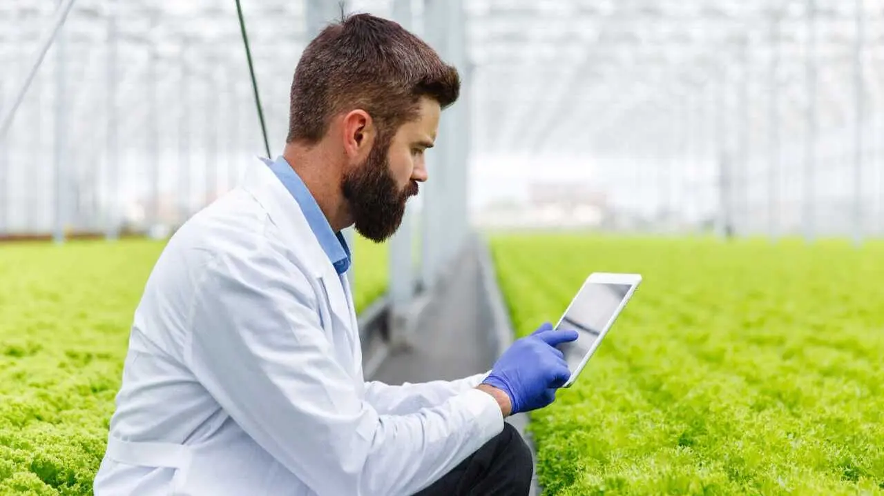 Investigador  estudia plantas con una tableta de pie en el invernadero - Foto de Freepik