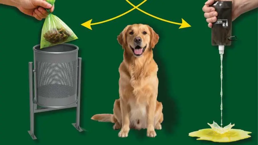 Cartel Campa&ntilde;a Concienciaci&oacute;n Bienestar Animal 2026 - Imagen del Ayuntamiento de Parla