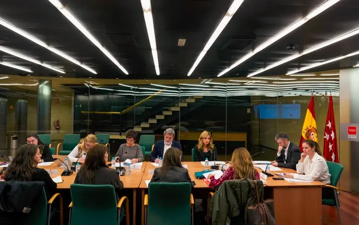 Los consejeros Garc&iacute;a Mart&iacute;n y D&aacute;vila, presidiendo la reuni&oacute;n del Observatorio Regional de la Violencia de G&eacute;nero - Foto Comunidad de Madrid