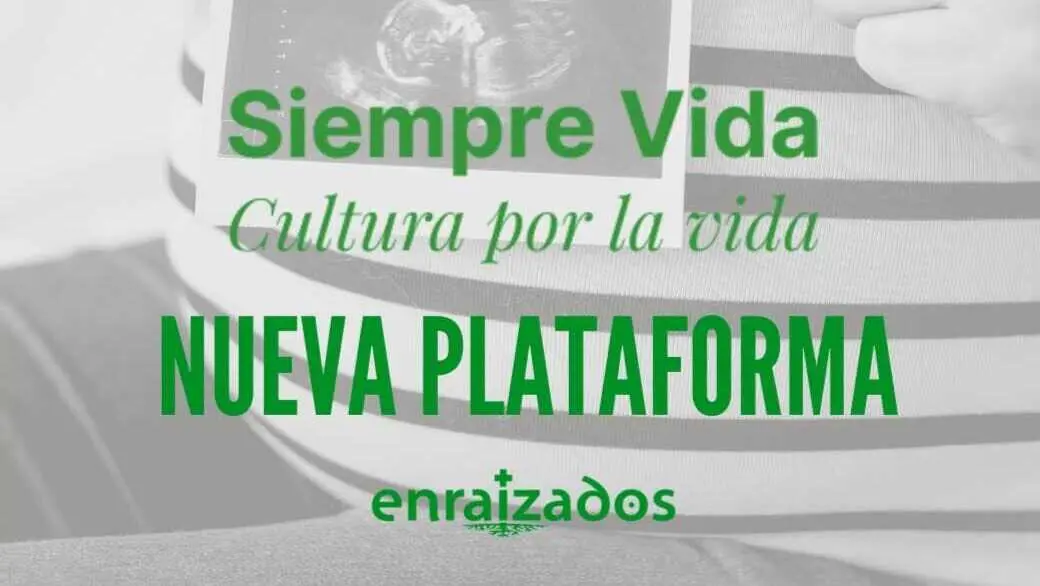 Nueva plataforma por la defensa de la Vida "Siempre Vida" - Imagen de la Fundaci&oacute;n Enraizados