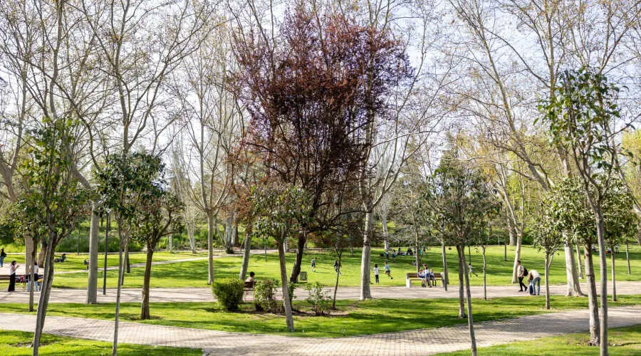 Parques de Pozuelo de Alarc&oacute;n - Foto del Ayuntamiento de Pozuelo