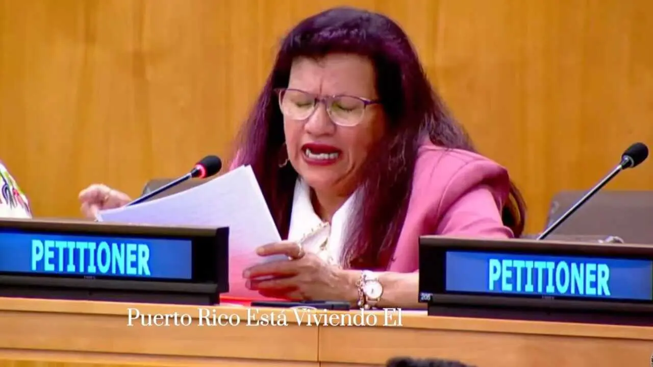 Annette Falc&oacute;n durante su intervenci&oacute;n en la ONU