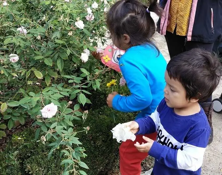 Real Jard&iacute;n Bot&aacute;nico