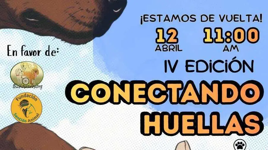 Cartel Carrera Conectando huellas - Imagen del Ayuntamiento de Pozuelo de Alarc&oacute;n