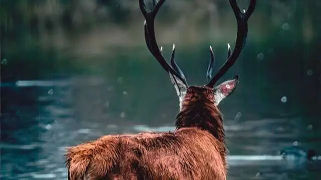 Mejor foto Concurso Jes&uacute;s y Ad&aacute;n Las Rozas 38&ordf; edici&oacute;n - Imagen publicada en el Ayuntamiento de Las Rozas