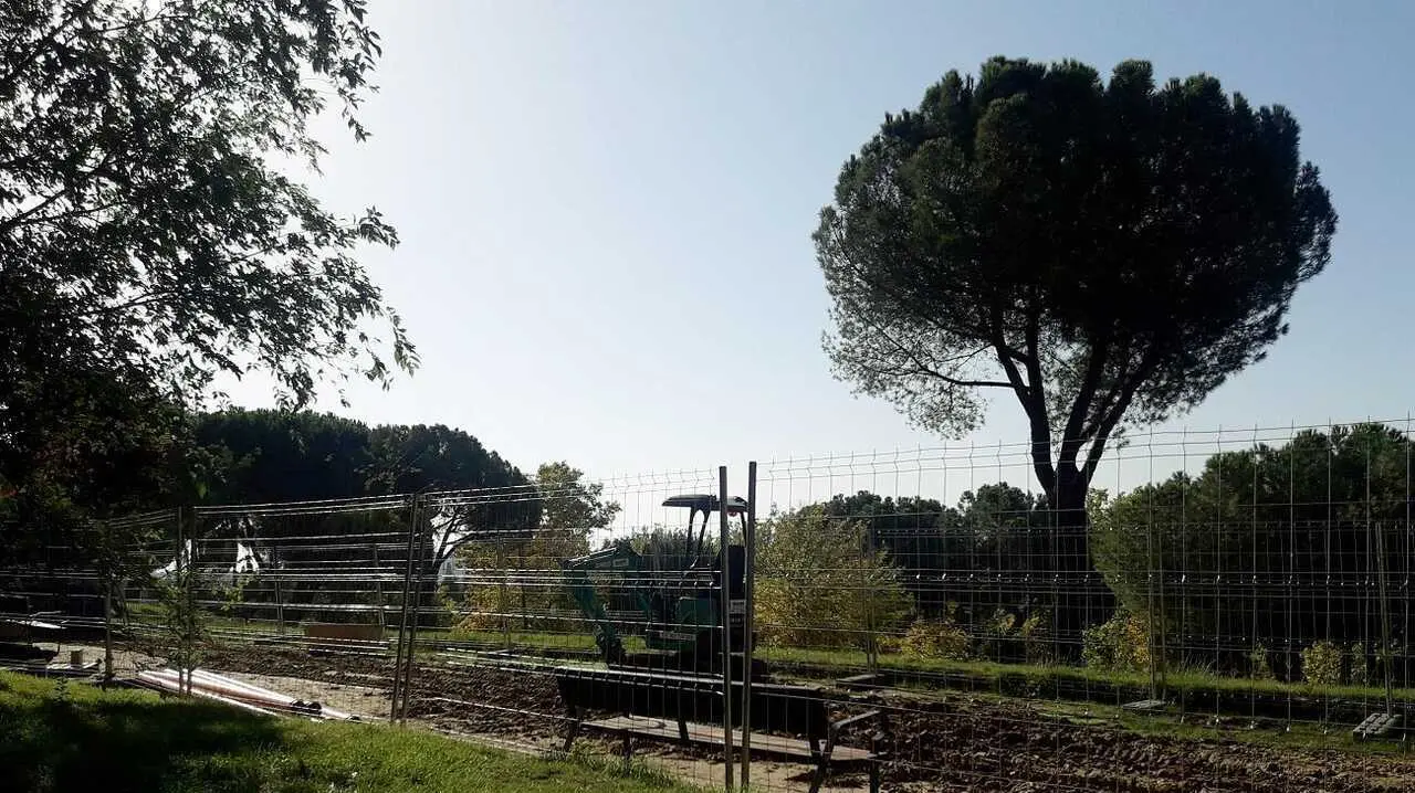 Parque Arriaga - Madrid