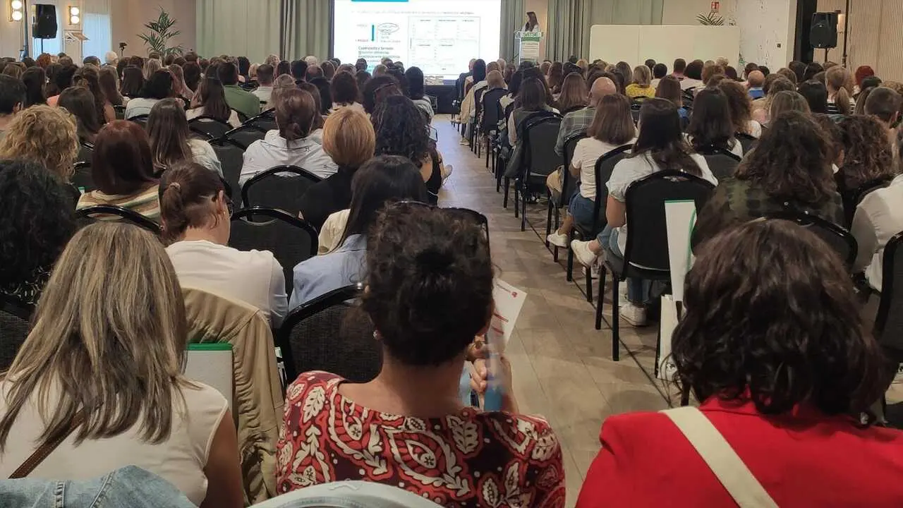 XVI Congreso de Investigaci&oacute;n de SATSE en Ciudad Real - Foto de Satse