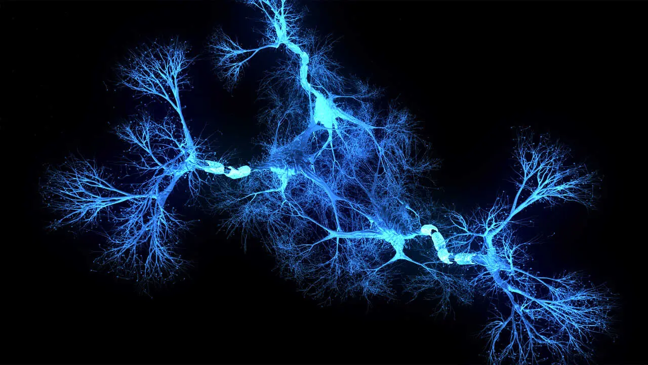 Holograma del sistema de neuronas. iStock
