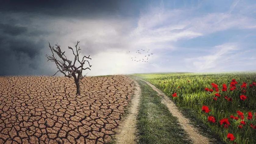 Madrid y la Agencia Espacial Europea impulsan la investigaci&oacute;n clim&aacute;tica en las aulas con proyectos cient&iacute;ficos de alumnos