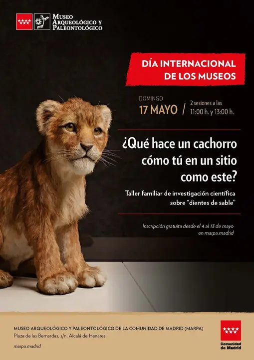 Cartel D&iacute;a de los Museos