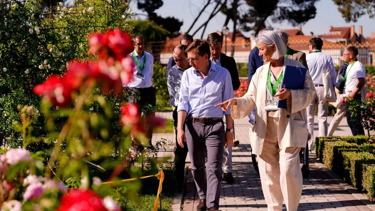 Diferentes im&aacute;genes de la 70&ordf; edici&oacute;n del Concurso Internacional de Rosas Nuevas Villa de Madrid, que ha contado con la participaci&oacute;n de Almeida, Carabante y Mart&iacute;nez P&aacute;ramo