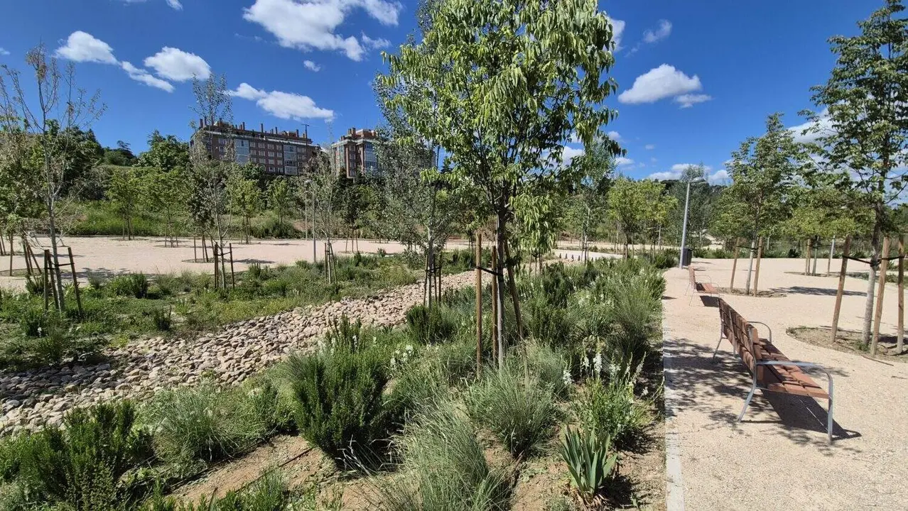 Nuevas zonas verdes en el &aacute;mbito de Joaqu&iacute;n Lorenzo, en Pe&ntilde;agrande