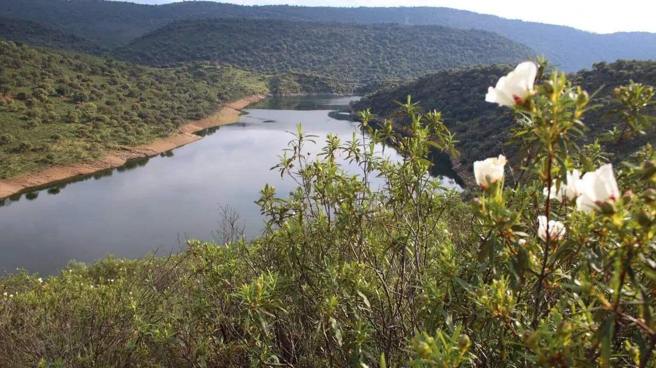 Parque Nacional de Monfragüe - Foto de SEO BirdLife. Autor: Wikicommons_FrDr