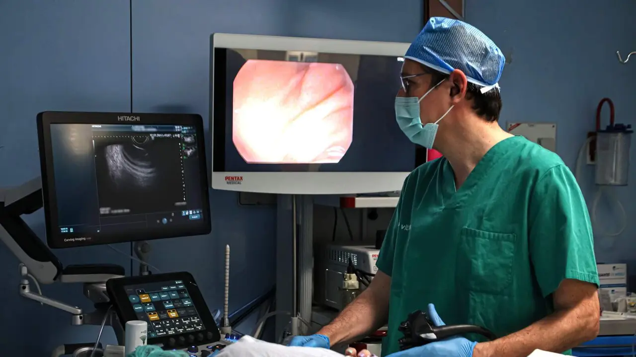 VLM_ECOENDOSCOPIO.JPG