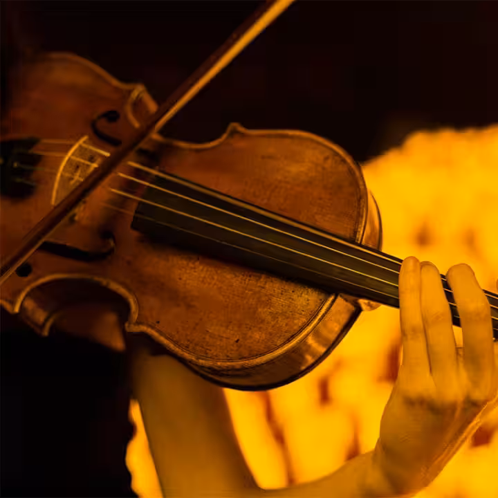 Conciertos Candlelight