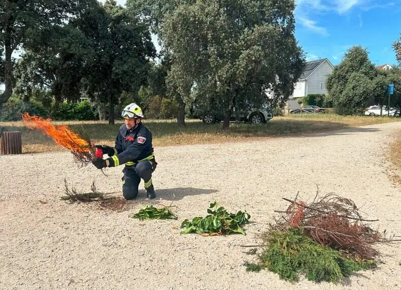 Campa&ntilde;a para evitar incendios en plantaciones de ariz&oacute;nicas - Foto Comunidad de Madrid