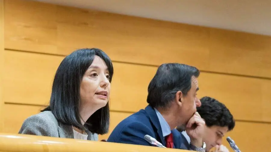 La directora general de la Guardia Civil, Mercedes Gonz&aacute;lez, en una comparecencia en el Senado en marzo del a&ntilde;o pasado | Foto de la Guardia Civil